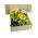 Jarní rozkvetlý box